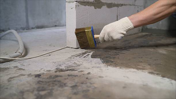 SJ Waterproofing Pros Basement Waterproofing coverage map for Dundee, MI and surrounding area